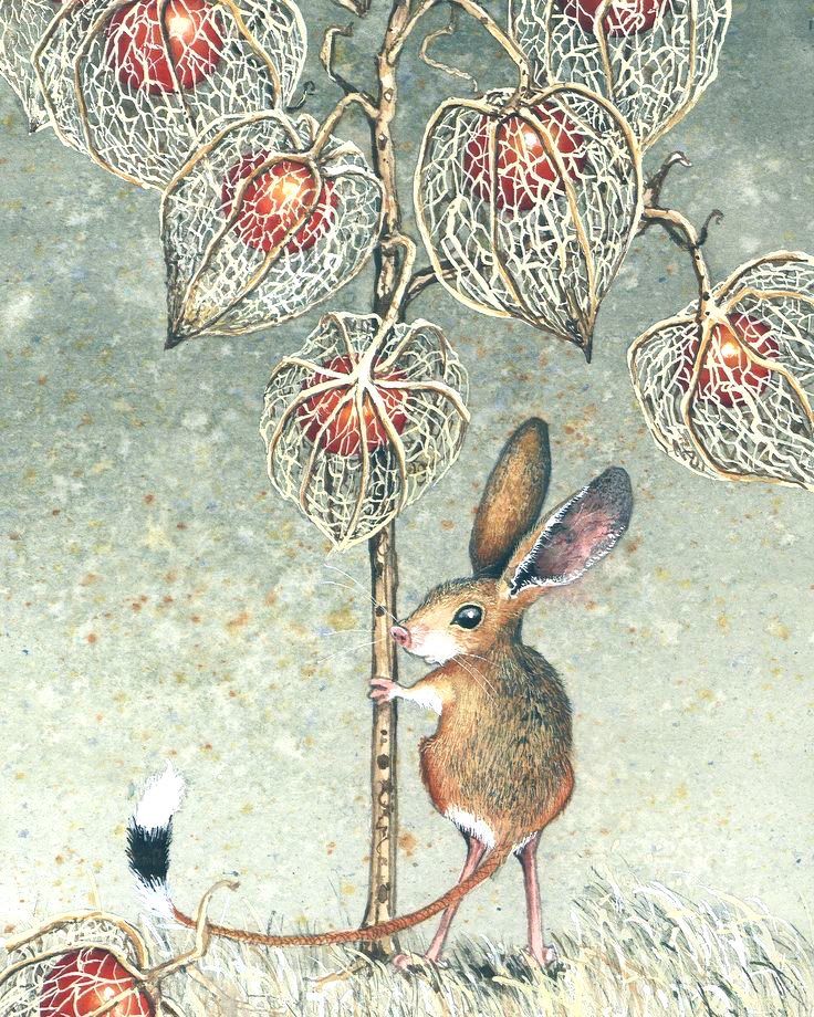 An illustration featuring a small jerboa standing next to a plant with dried, lantern-like seed pods.