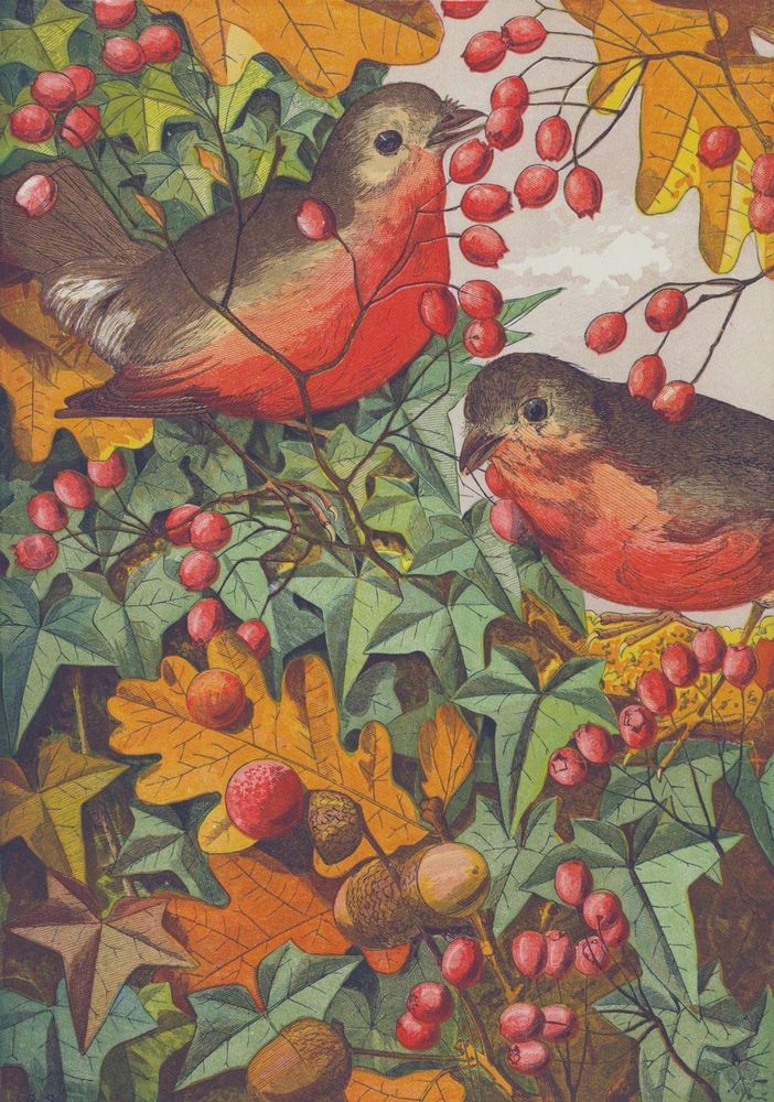 Two robins in autumned oak and ivy, red berries and nuts. Painting.