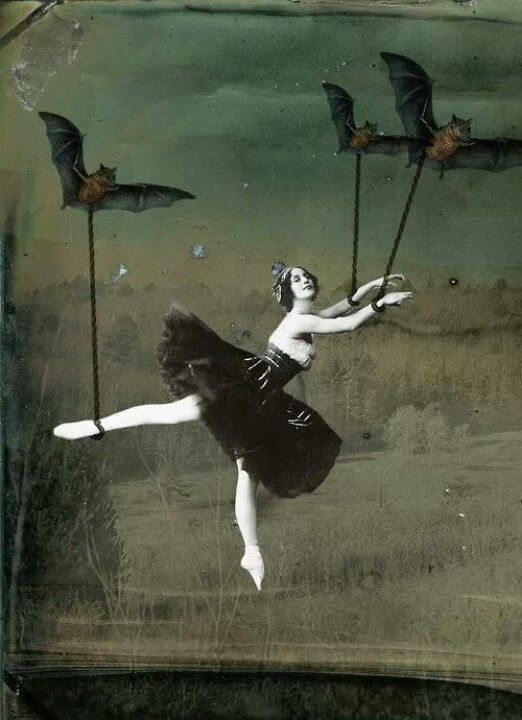 Woman in black tutu being flown by three bats with cord attached to both arms and one leg over faint landscape. Painting.
