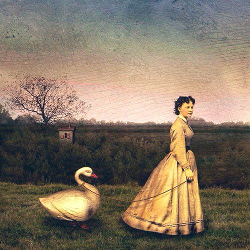 A woman in a long, vintage dress walking through a field while holding a leash attached to a large white swan. The background features a small building and trees under a textured, cloudy sky.