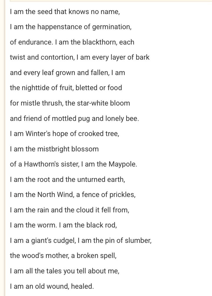 I am the seed that knows no name,
I am the happenstance of germination, of endurance. I am the blackthorn, each
twist and contortion, I am every layer of bark
and every leaf grown and fallen, I am
the nighttide of fruit, bletted or food for mistle thrush, the star-white bloom
and friend of mottled pug and lonely bee.
I am Winter's hope of crooked tree,
I am the mistbright blossom
of a Hawthorn's sister, I am the Maypole.
I am the root and the unturned earth,
I am the North Wind, a fence of prickles,
I am the rain and the cloud it fell from,
I am the worm. I am the black rod,
I am a giant's cudgel, I am the pin of slumber,
the wood's mother, a broken spell,
I am all the tales you tell about me,
I am an old wound, healed.