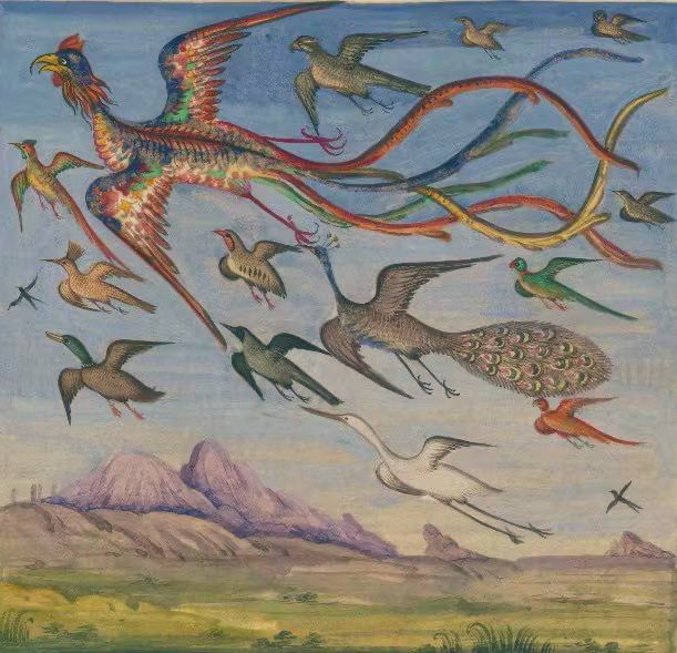 Many different birds (peacock, egret, duck, bird of paradise, crow and others) in flight over a pastoral scene with mountains in the distance. Painting. 