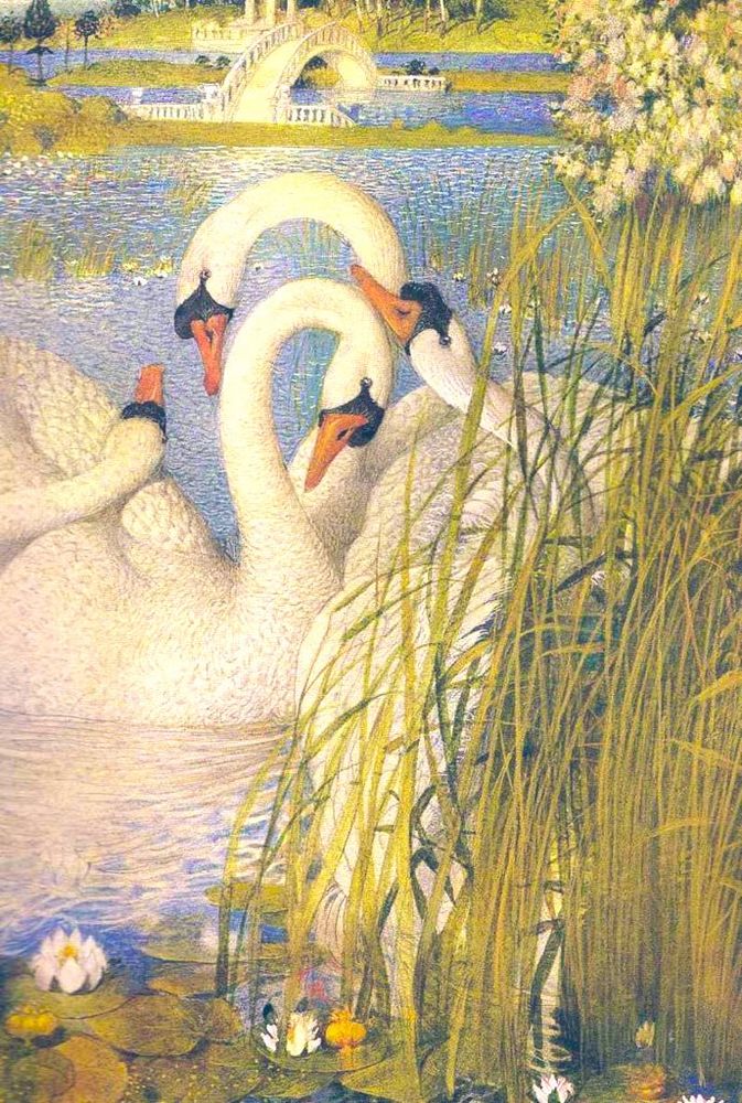 Four swans on river by reeds and lily pads, little white bridge in the background, illustration.