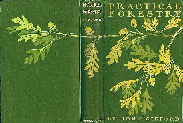 Practical Forestry by John Gifford
Green cover with gold lettering and oak tree, leaf and acorn decoration.