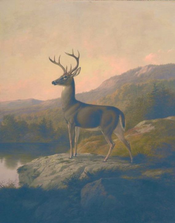 Painting of deer in rural landscape, stood on rocky outcrop overlooking water, sky in background.