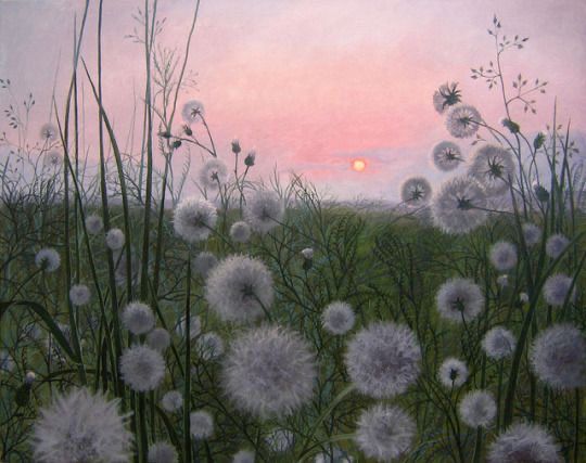 Painting of dandelion clocks in long grass lit by evening sun of pink sky. 
