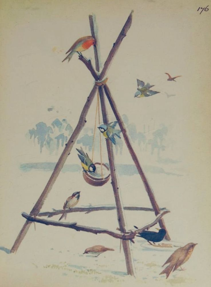 Garden birds: blue tits, robins, wren, blackbird, sparrow perched on garden feeder, snowy background. Illustration.