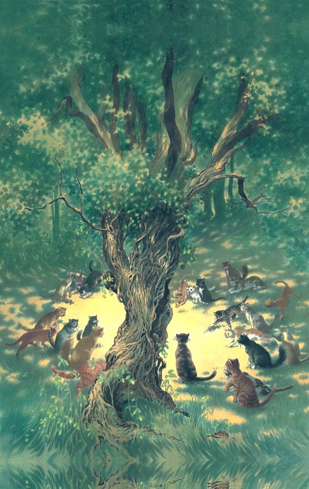 Cats gathered in a sunlit forest glade conspiratorially. Illustration.