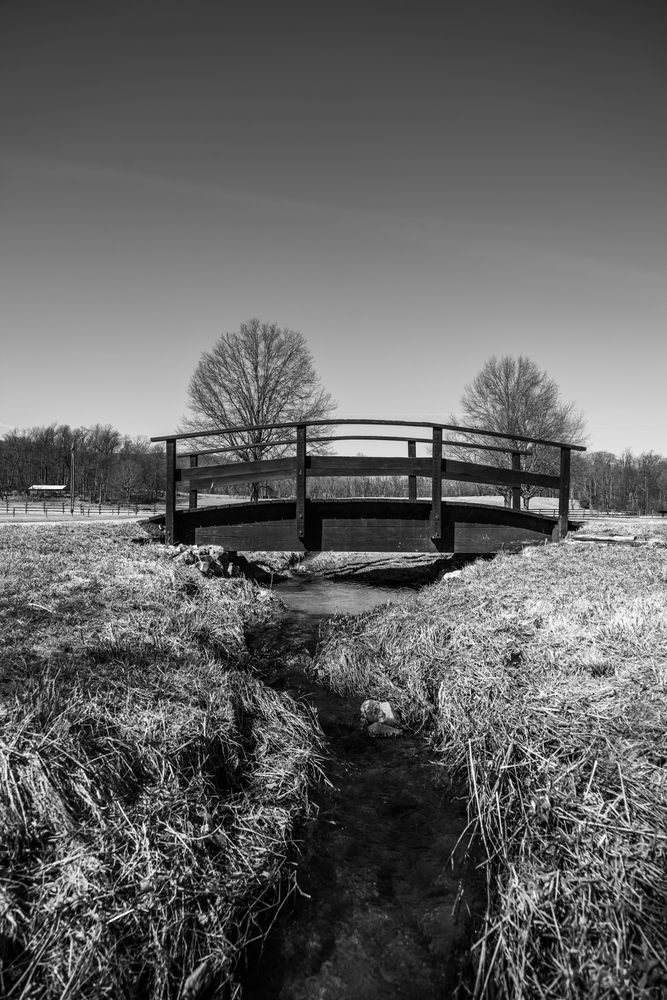 A small creek flowing through a wide open field, with a small wooden bridge at the center of the frame.