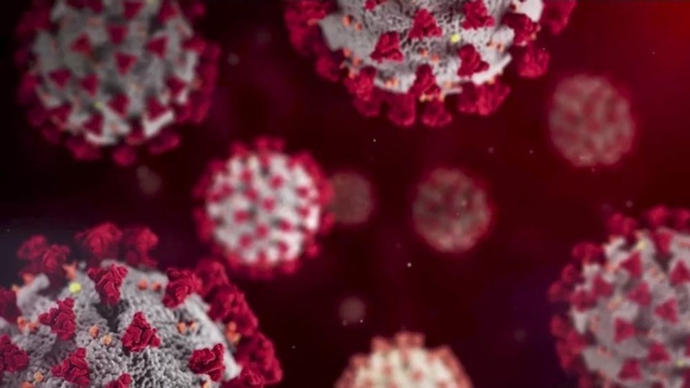 Die neue Corona-Variante „Nimbus“ breitet sich weltweit aus

Die neue Sars-CoV-2-Variante, wissenschaftlich NB.1.8.1 und als „Nimbus“ bekannt, breitet sich weltweit rasant aus. Laut Weltgesundheitsorganisation (WHO) stieg ihr Anteil an den globalen Infektionen im April 2025 von etwa 2,5 % auf über 10 %. Im Mai 2025 waren es sogar rund 21 % aller registrierten Fälle, die auf Nimbus zurückzuführen sind. Besonders stark verbreitet ist die Variante aktuell im westpazifischen Raum, etwa in China, Japan und Australien. In Deutschland wurde die Corona-Variante „Nimbus“ erstmals Ende März 2025 nachgewiesen. Allerdings ist die absolute Zahl der Fälle in Deutschland niedrig.

Nimbus ist eine rekombinante Variante, die genetische Elemente mehrerer früherer Linien kombiniert. Sie trägt Mutationen im Spike-Protein, die die Virusbindung erleichtern und Teile des Immunsystems umgehen könnten, was zu einer höheren Reproduktionszahl führt.

Symptome ähneln anderen Omikron-Varianten: Fieber, Husten, Schnupfen, Glieder- und Muskelschmerzen, Halsschmerzen.

Keine Anzeichen für schwerere Verläufe: Daten aus internationalen Berichten zeigen kein erhöhtes Gesundheitsrisiko im Vergleich zu anderen Corona-Varianten. Die Weltgesundheitsorganisation (WHO) stuft das öffentliche Gesundheitsrisiko entsprechend als gering ein.

Impfstoffe: Bestehende Covid-19-Impfungen (Omikron-Impfstoffe) bieten weiterhin Schutz, insbesondere gegen schwere Krankheitsverläufe.

Auffrischung: Die Ständige Impfkommission (STIKO) empfiehlt weiterhin jährliche Booster für Personen ab 60 Jahren und Menschen mit gesundheitlichen Risiken.

Tests: PCR- und Schnelltests sollten Nimbus zuverlässig nachweisen.

Experten warnen vor einer möglichen Sommerwelle, da warmes Wetter und soziale Aktivitäten die Ausbreitung begünstigen könnten. Die Gesamtlage bleibt überschaubar, mit niedrigen Fallzahlen.
