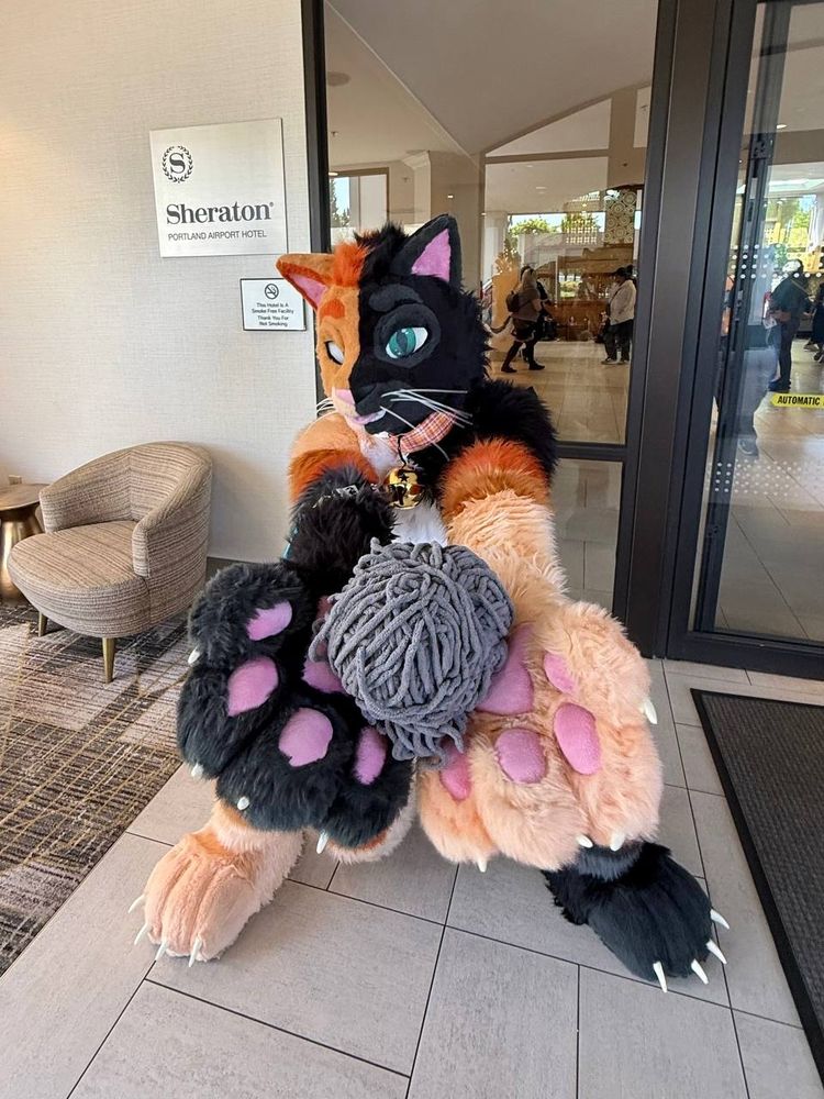 Beans in fursuit holding a large ball of yarn