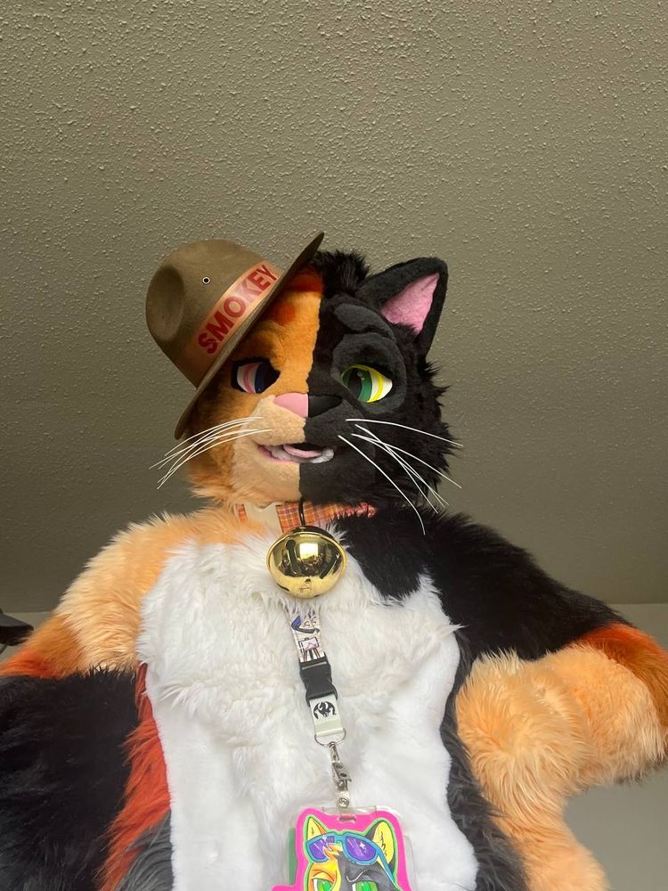 Split face calico fursuit wearing a "Smokey" Ranger hat looking down at you with suggestive eyes.