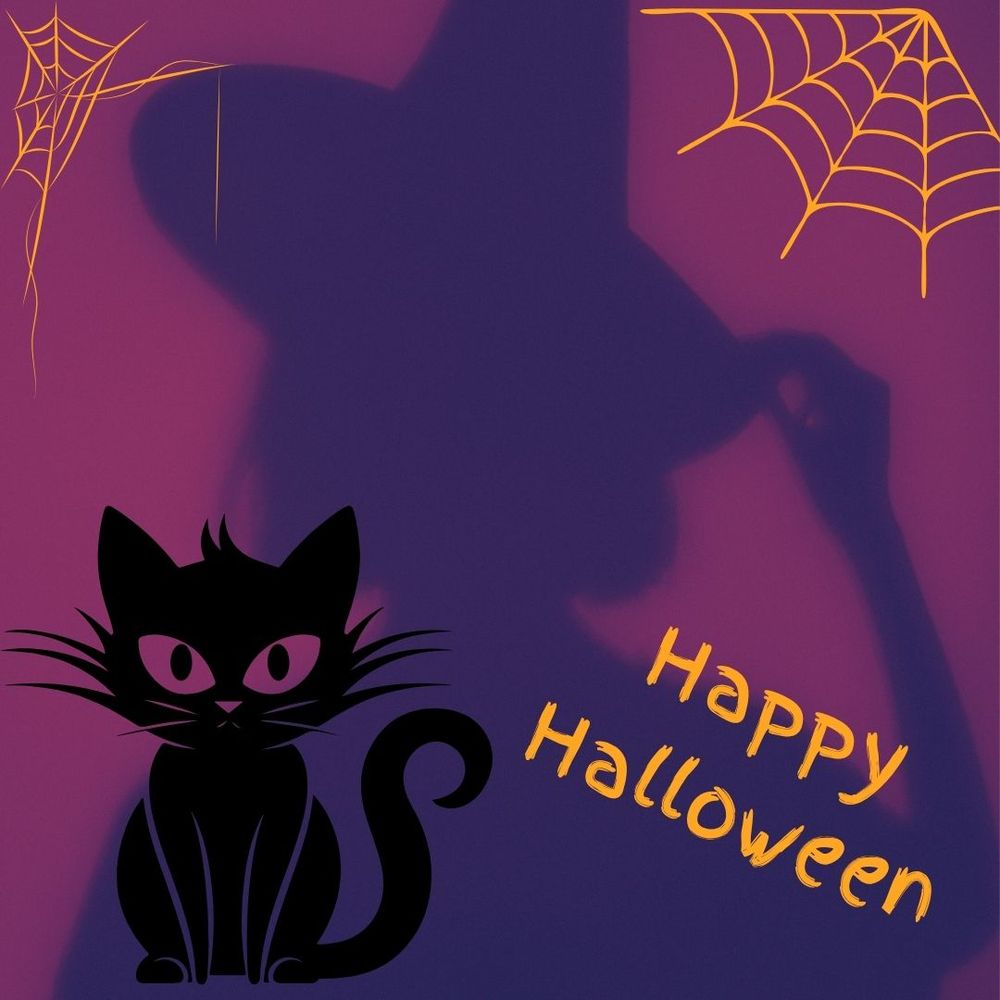 A Happy Halloween message with a black cat, cobwebs and the shadow of a woman wearing a witch's hat.