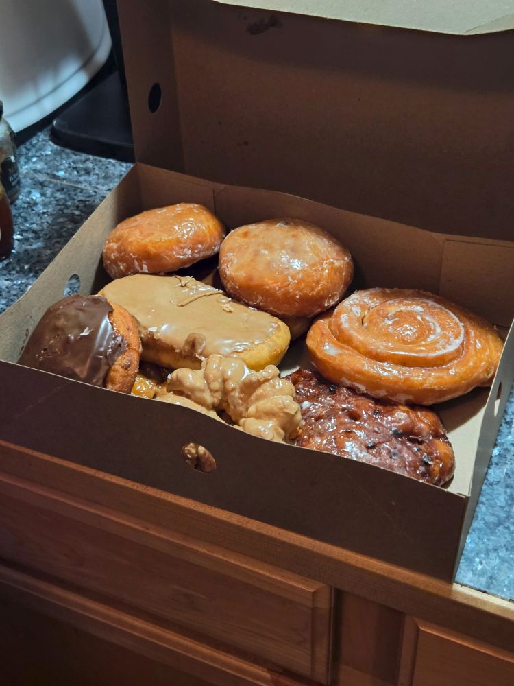 This box has a lemon Bismark, a raspberry Bismark, a maple bar, a chocolate puff, a maple cruller, an apple fritter, and blueberry fritter. 