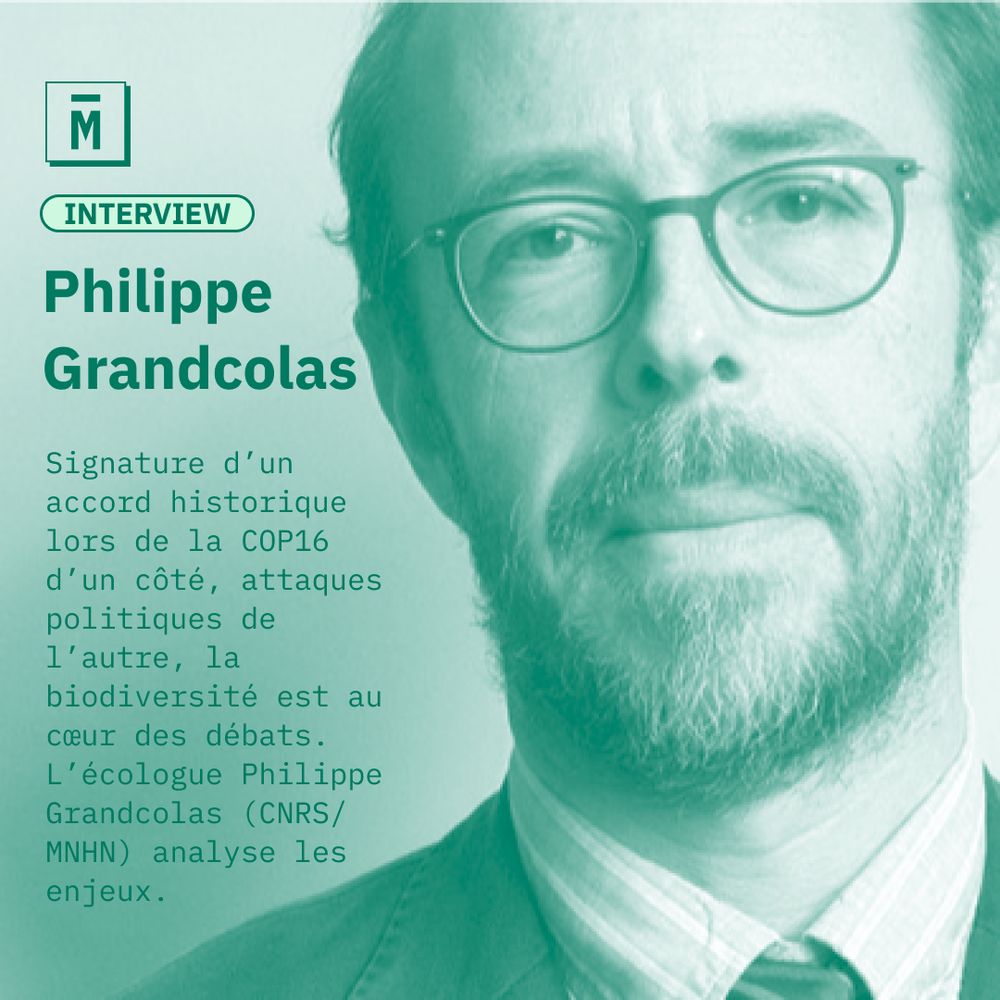 Interview
Philippe Grandcolas
Signature d’un accord historique lors de la COP16 d’un côté, attaques politiques de l’autre, la biodiversité est au cœur des débats. L’écologue Philippe Grandcolas (CNRS/MNHN) analyse les enjeux.