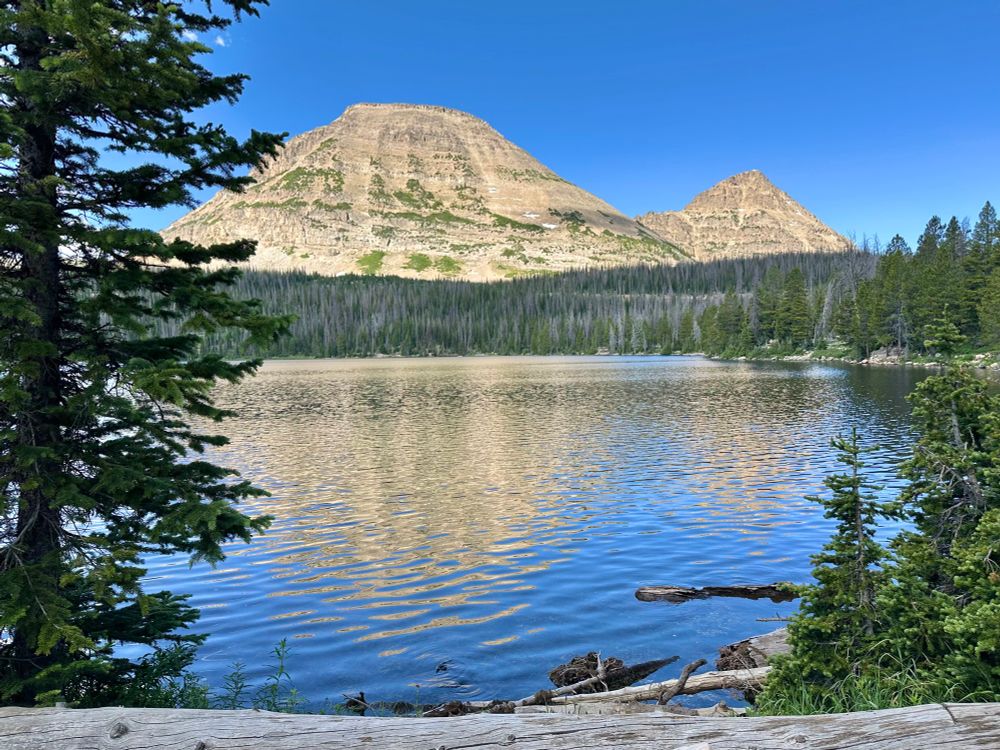 A photo of a lake with mountains in the background. 