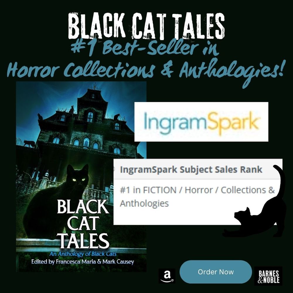 Black Cat Tales #1 Best-seller in Horror Collections & Anthologies via IngramSpark!