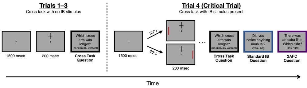 Schematic depiction of trial sequence in E1. 