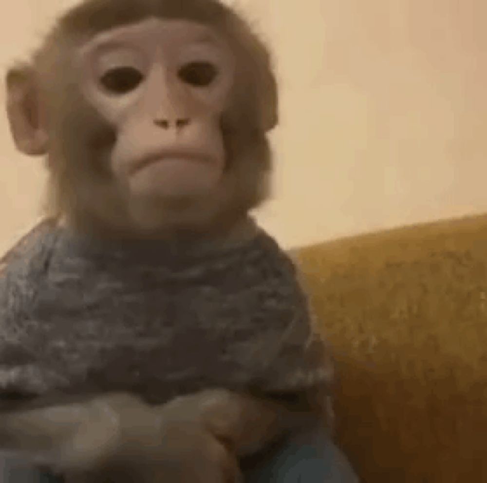 a baby monkey is sitting on a couch wearing a sweater and looking at the camera .