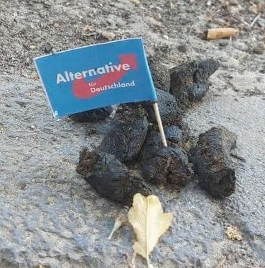 Hundescheiße mit AFD-Fähnchen