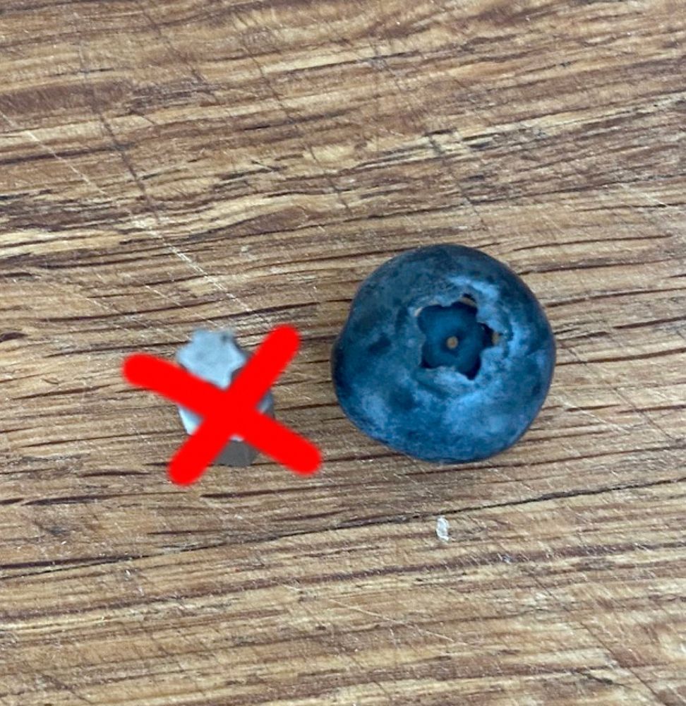 Ein rot durchgestrichenes Torx Bit neben einer Heidelbeere mit einer fünfzackigen sternförmigen Blütenöffnung.