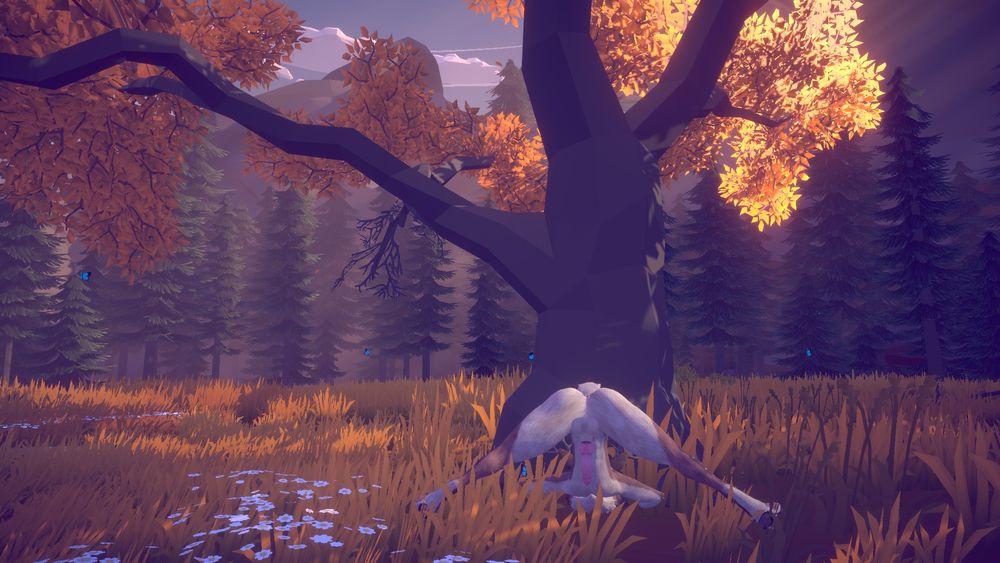 Ass up face down (in the dirt??)