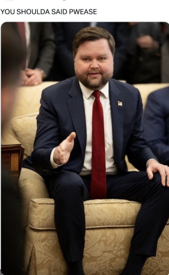 JD Vance "you shoulda said pwease" meme
