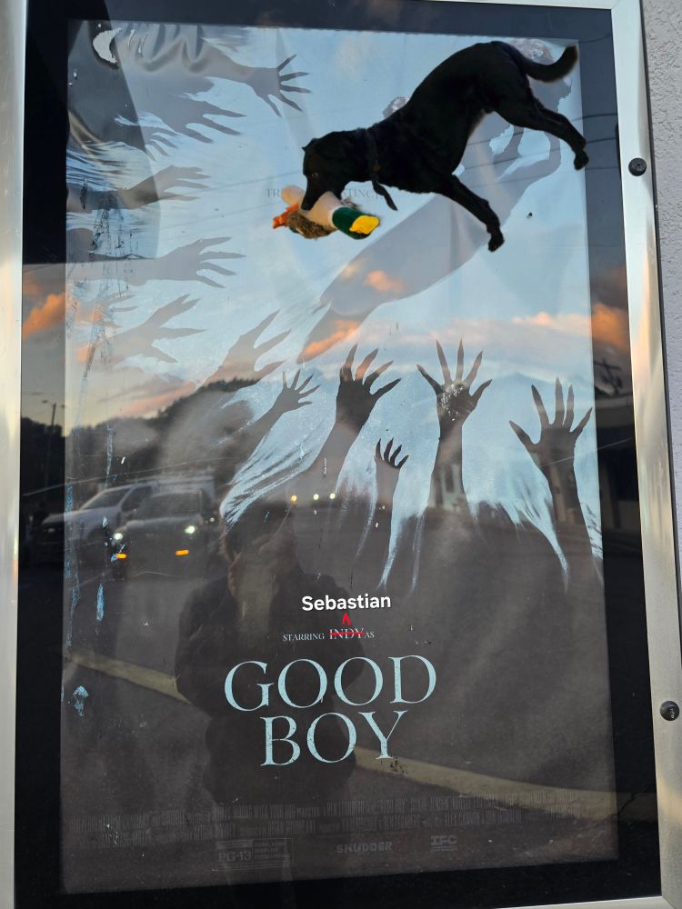 the poster for good boy, which feature's a bunch of creepy hands reaching out to a dog, except OP photoshopped their black dog over the poster dog.

originally saying "starring indy as good boy," OP has also crossed indy out and replaced it with sebastian