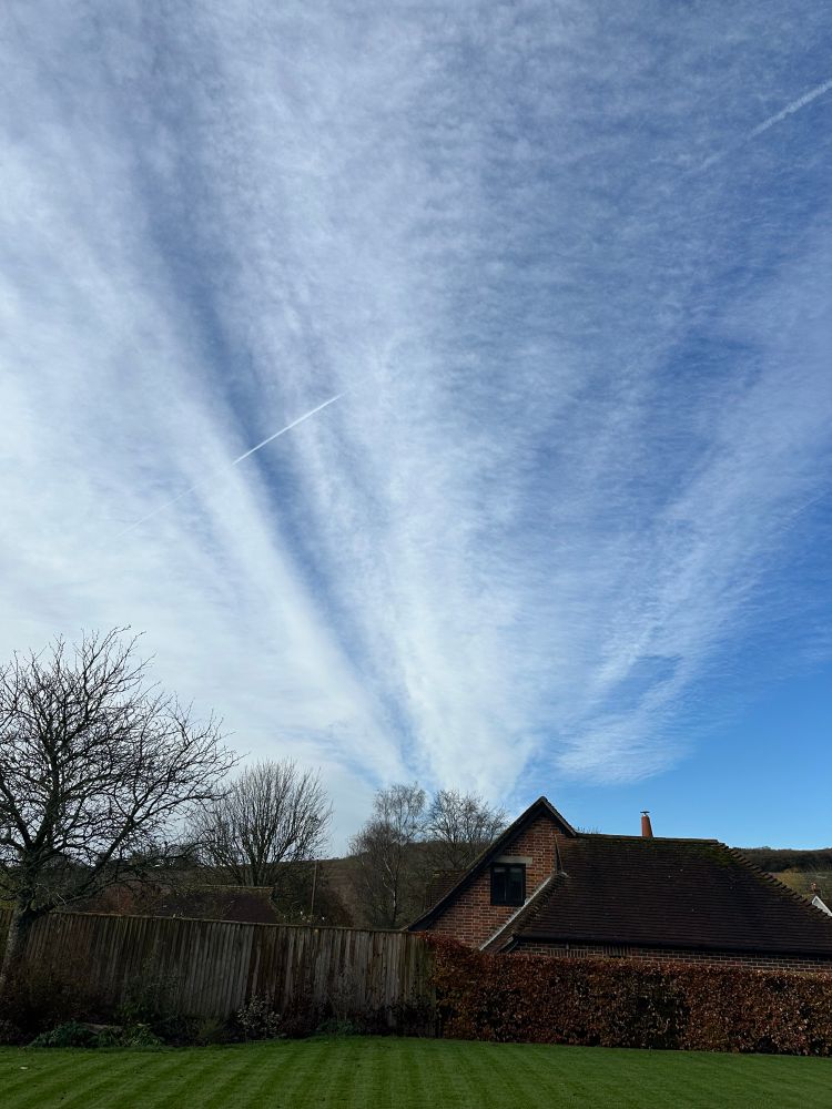 A blue sky filled with dramatic sweeping wisps of cirrus clouds (I think), set against a silhouette of winter trees and a pitched house roof. The trees aren’t beech, so actually, forget I mentioned anything, but those are ELSEWHERE and utterly beautiful.