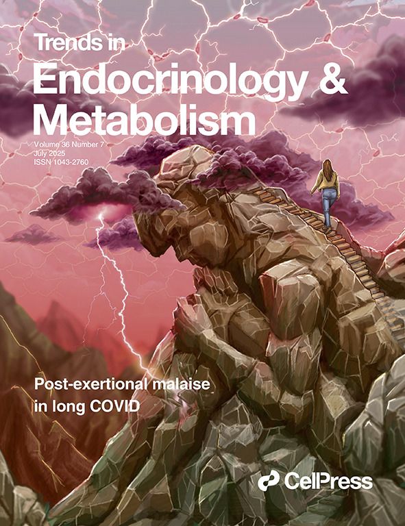 The image illustrates a person walking up a mountain, with skeletal muscle alterations visualized in the sky; the lighting towards the muscle represents muscle pain and the clouds around the top of the mountain are reflective of brain fog. Cover credits: Emma Vidal, DrawImpacts, based on the experience collected from real-life patients with long COVID.