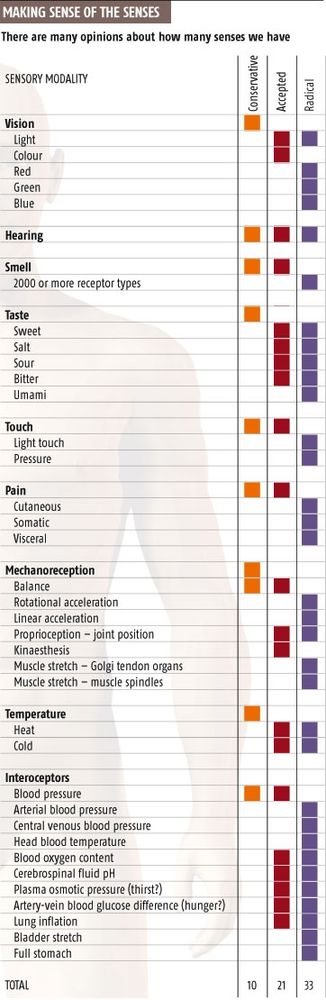 Graphic displaying the modern conception of human senses, which goes from at least 10 to a possible 33