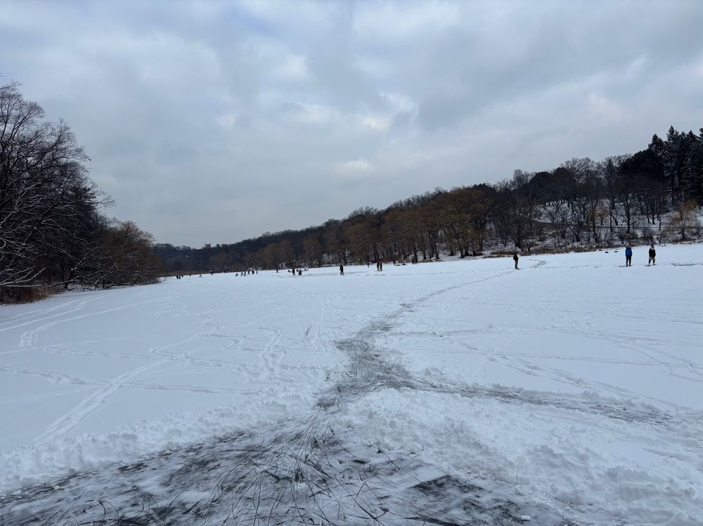 A shoreline view of a frozen Grenadier pond in High Park with several skaters off in the distance. The ice is mostly covered in snow but people have shovelled paths so a skating trail takes you end to end.