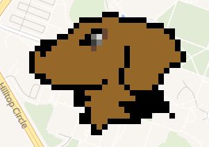 a Chesapeake Bay Retriever, the mascot of UMBC
