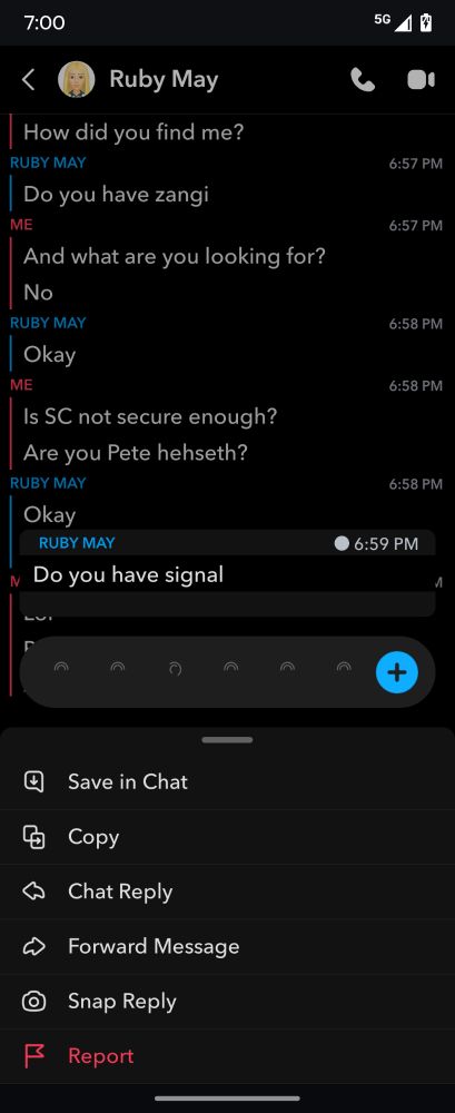 Ruby May, my new Snap Cart friend, asking me to install additional apps. Like the one used by Pete Hehseth to blow up people and brag about it by including a reporter "accidentally."

Fuck you, you fucking idiots.