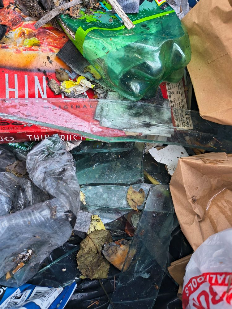 Broken glass and raw and burnt rubbish in a Kalamazoo trash bin at 132 reed 49001