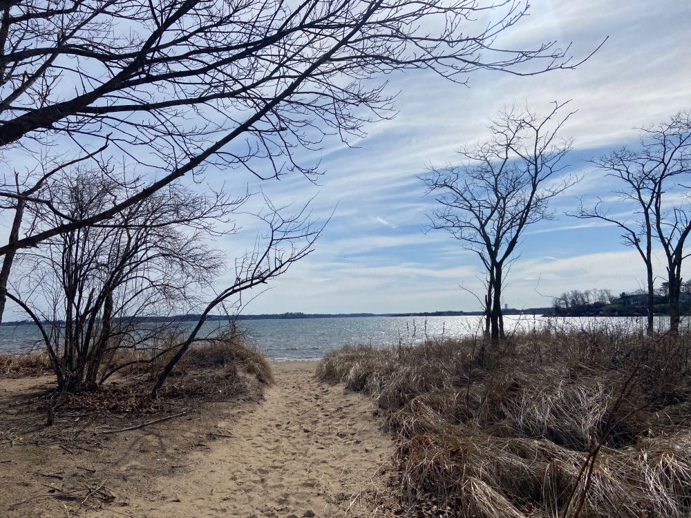 Step by step, we write words. We write stories. Hoping to connect to readers. The Whispering Pines Retreat was one to remember. 