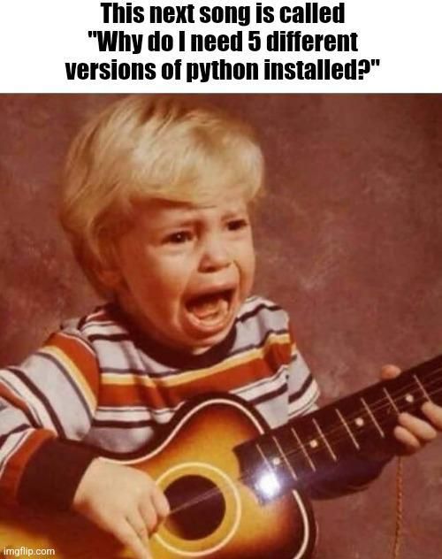 An image of a child crying/screaming holding a guitar, with the text "This next song is called 'why do I need 5 different versions of python installed?'" printed above it.