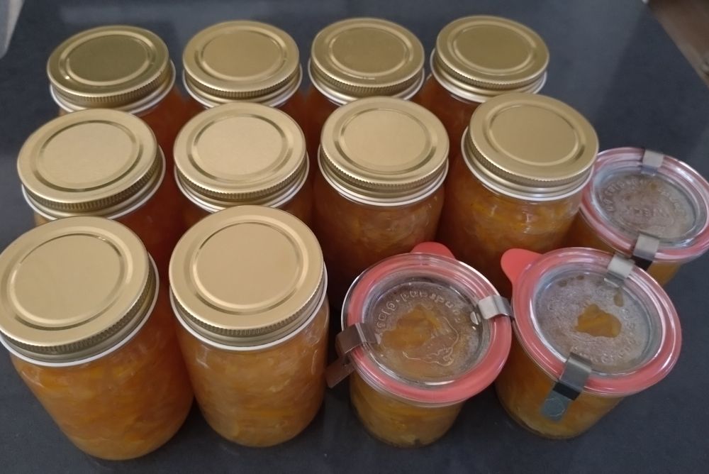 同じサイズの瓶が10個、それより小さいweckの保存瓶が3個並んでいる写真。中はオレンジ色で満たされている
