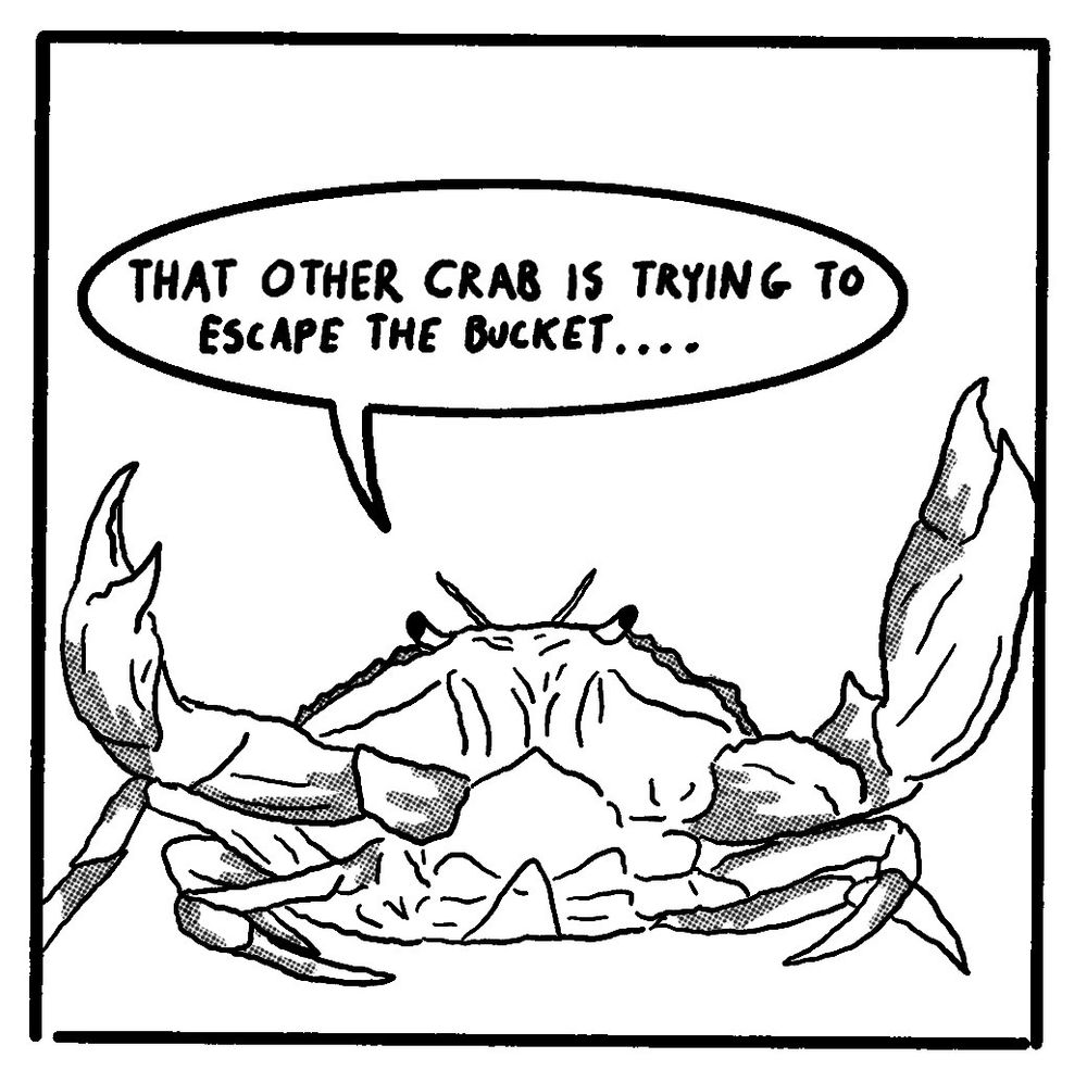 Panel three is a third digital drawing of a crab that is saying that other crab is trying to escape the bucket…