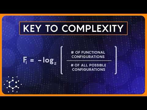 Is Information a Fundamental Force of Physics?