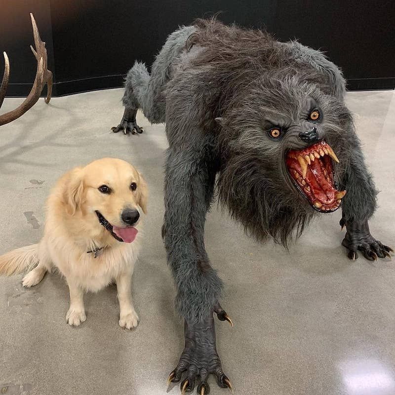 A smiling dog sitting next to a big black hungry werewolf statute