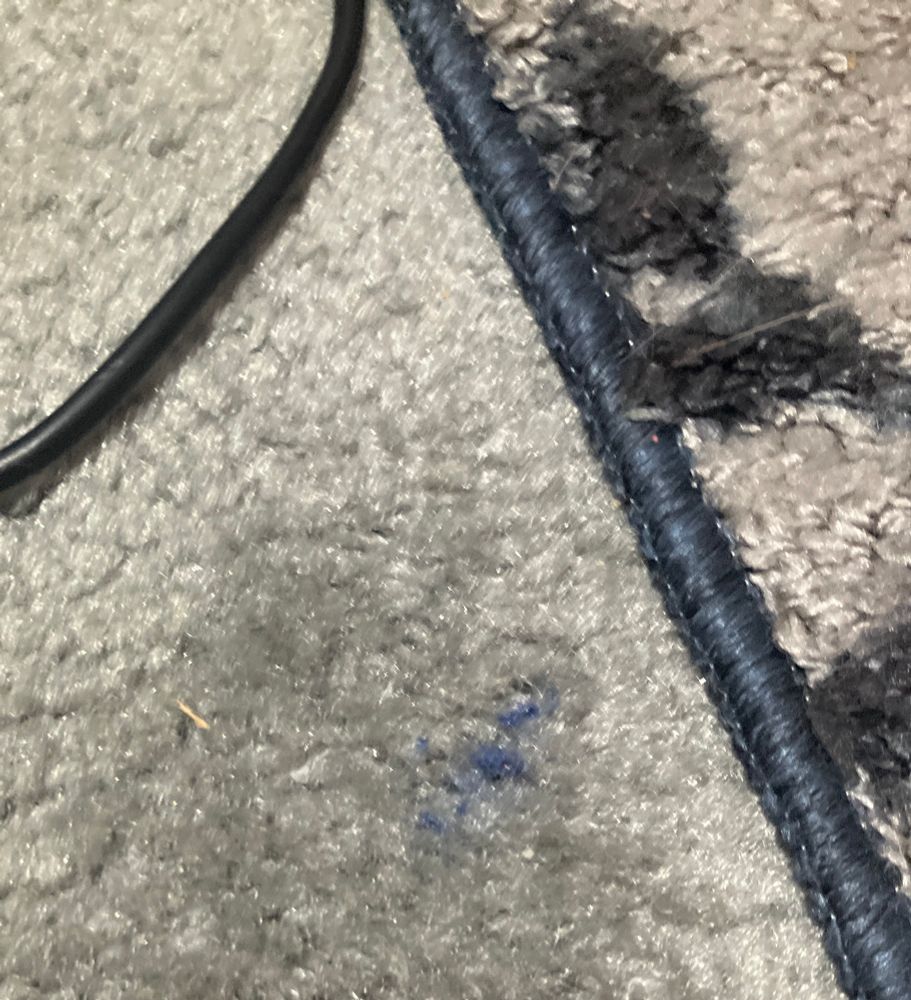 MY FUCKIN CARPET BLUE TOO 😭