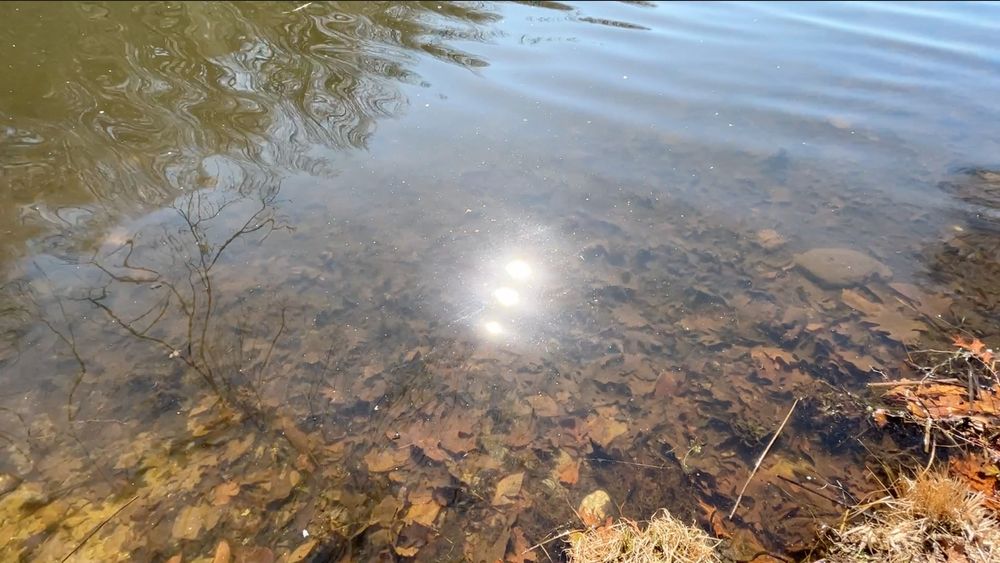 Photo of a frame from a video capturing a spontaneous light event: a single node appears, then 2 ... a bright flash & the light divides into 3 with nearby particles transformed into a surrounding luminous field!