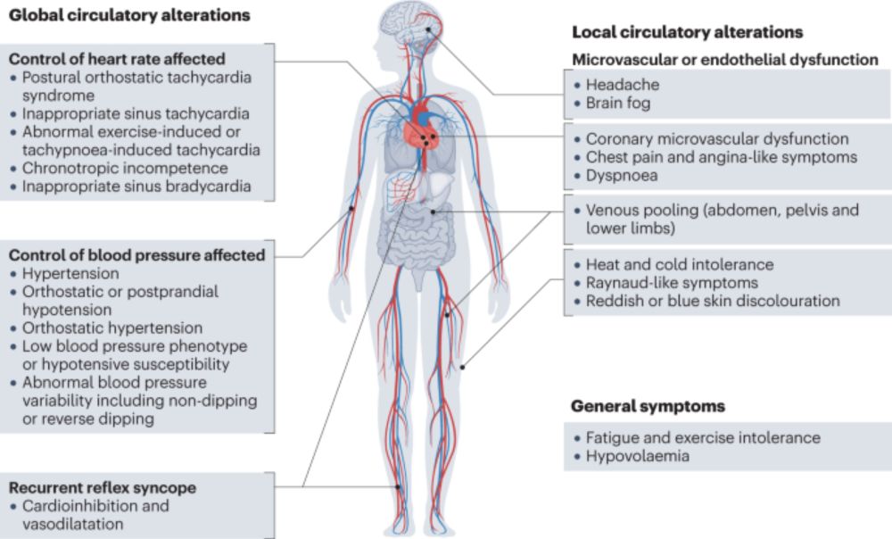 Cardiovascular autonomic dysfunction in post-COVID-19 syndrome: a major health-care burden - Nature ...