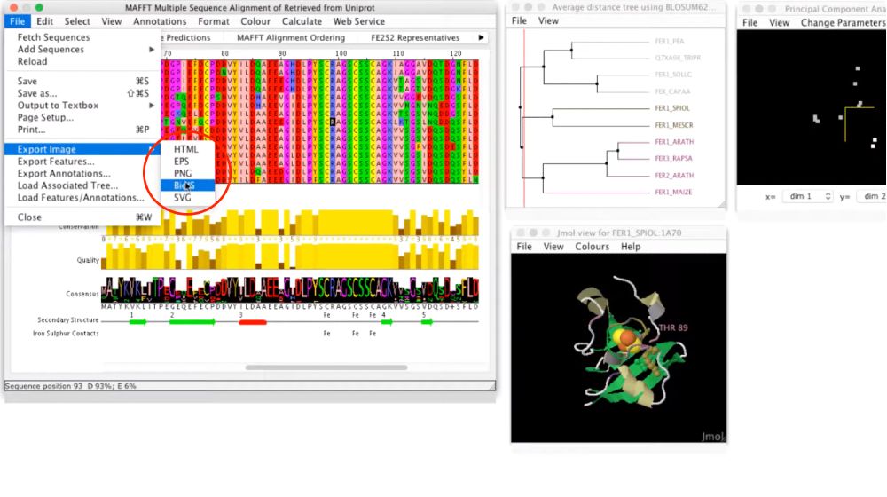 Multiple sequence alignment in Jalview synced with outputs featured in tree, PCA and 3D molecular graphics viewers. 