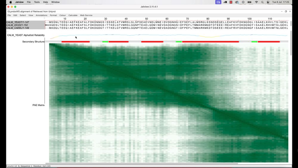 A protein sequence alignment in Jalview with reference annotation tracks consisting of the pLDDT score, secondary structure and PAE dowloaded for each sequence where data is available from AlphaFoldDB. 