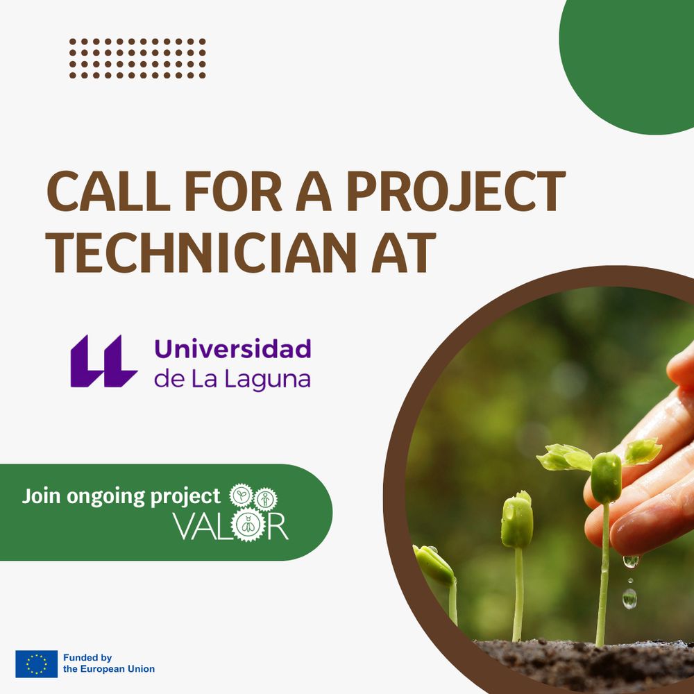 Graphic announcing a call for a project technician at Universidad de La Laguna for the ongoing EU-funded VALOR project. The image includes the university's logo, a green label reading "Join ongoing project VALOR", and a photo of a hand watering young green seedlings.