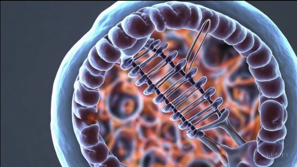 An image of what OpenAI's Sora thinks of chromosome condensation.