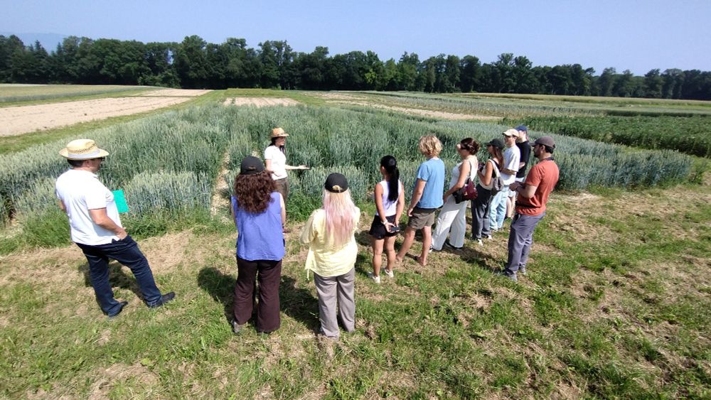 A plant breeder explaining a trial to students