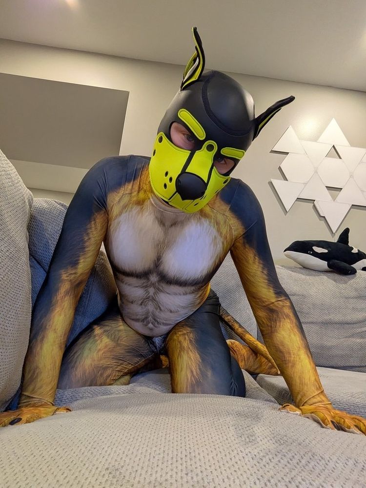 A person in a black and orange zentai kneeling on a white sofa, hands pressed into it, while wearing a pup hood. He is staring straight at the camera, also on the sofa, with his head cocked at an angle.